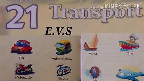 E.V.S - Chapter-21 Transport( Explanation) Class-1   Priti Kumari