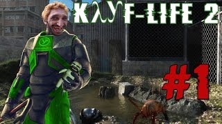 Kayf Life 2 Synergy Co op Добро пожаловать в Бобруйск (#1)