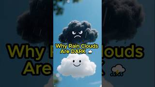 Why Rain Clouds Are DARK ⛈️  #shorts #science  #facts #education #didyouknow