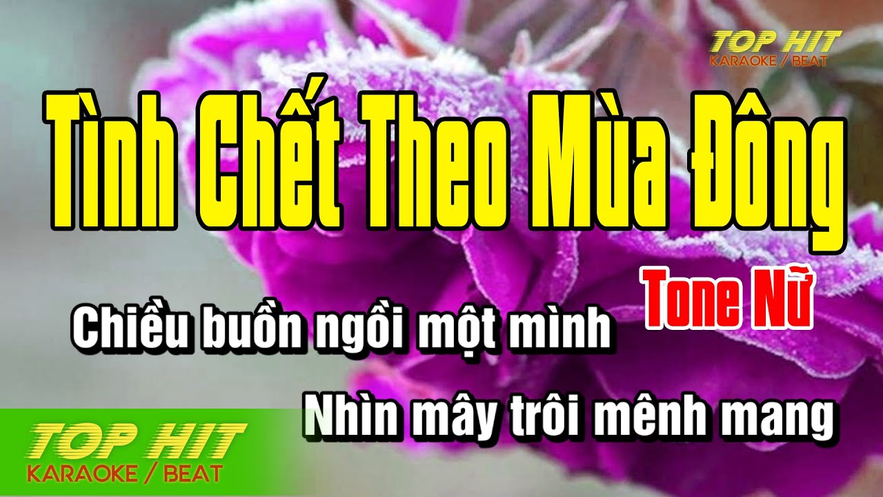 Tình Chết Theo Mùa đông Karaoke
