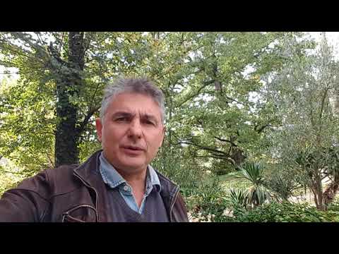 Barzelletta Quanto vuoi? - Paci