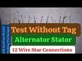 12 wire Alternator Stator winding wire 06 Coil Test with multimeter Explain Urdu in Hindi Part 2