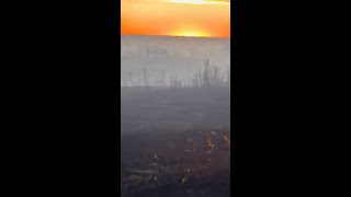Four service members killed after fire at Canadian base