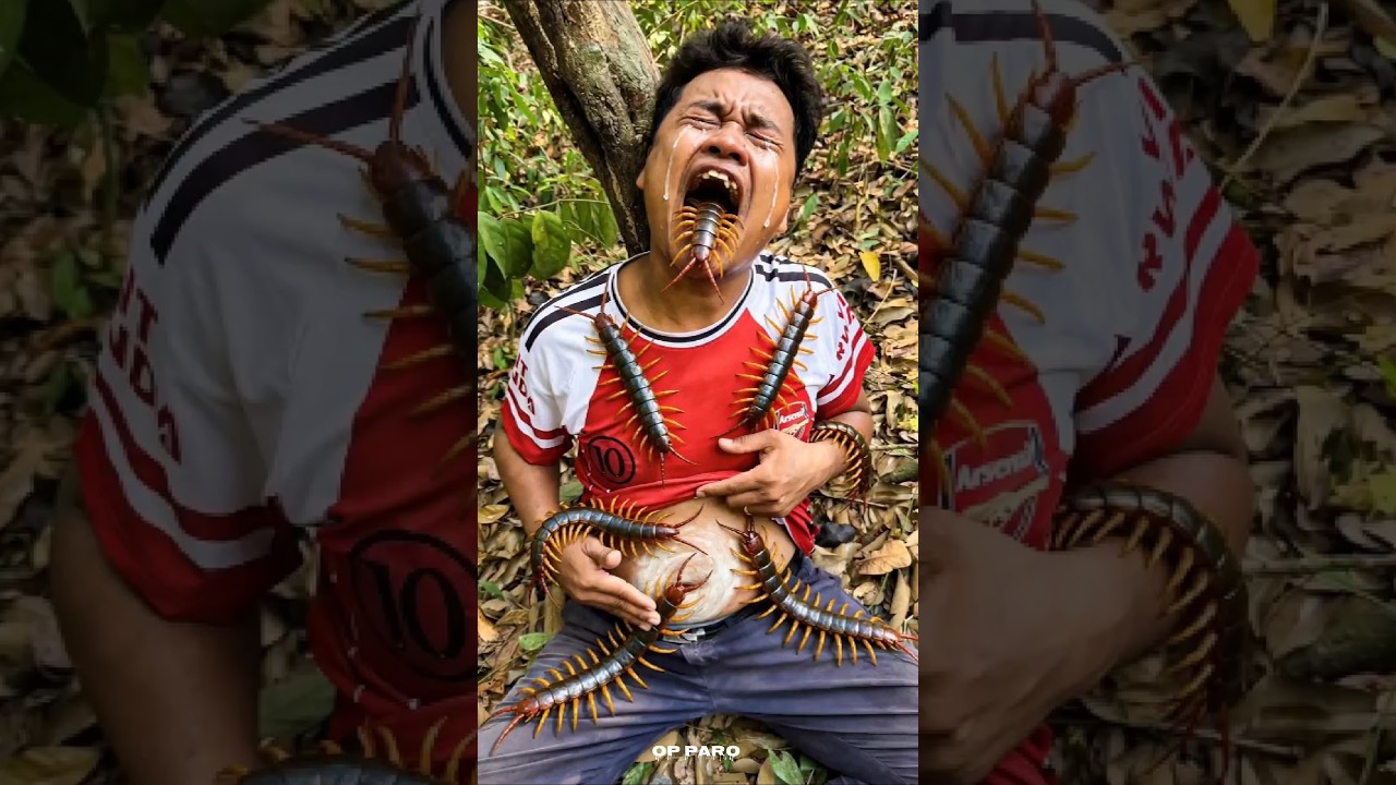Survival Skills SMART Idea and USEFUL Boiledby Mom#tbushcraft#camping #outdoors#usefulpart