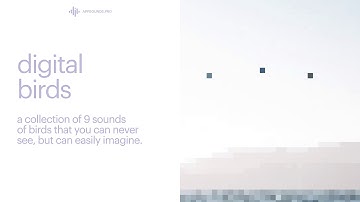 Digital Birds UI Sounds