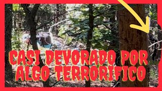 CASI DEVORADO POR ALGO TERRORÍFICO 