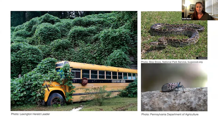 Common Invasive Plants in Virginia, Beth Mizell, April 20