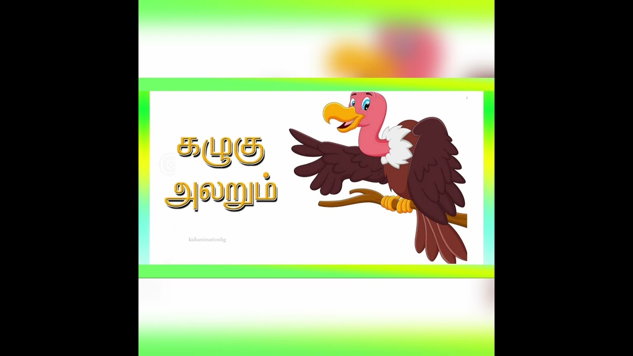 Learn Birds🕊🐓🐥 Sound and name in Tamil for kids👶🏻 and Children👦