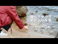 海でガサガサ!ヤドカリ採集 35匹のヤドカリさんをお迎えしました❀海水魚水槽 アクアリウム