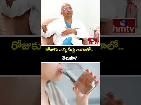 రోజుకు ఎన్ని నీళ్లు తాగాలో.. తెలుసా? | How Much Water We Need to Drink | Health 360 | hmtv