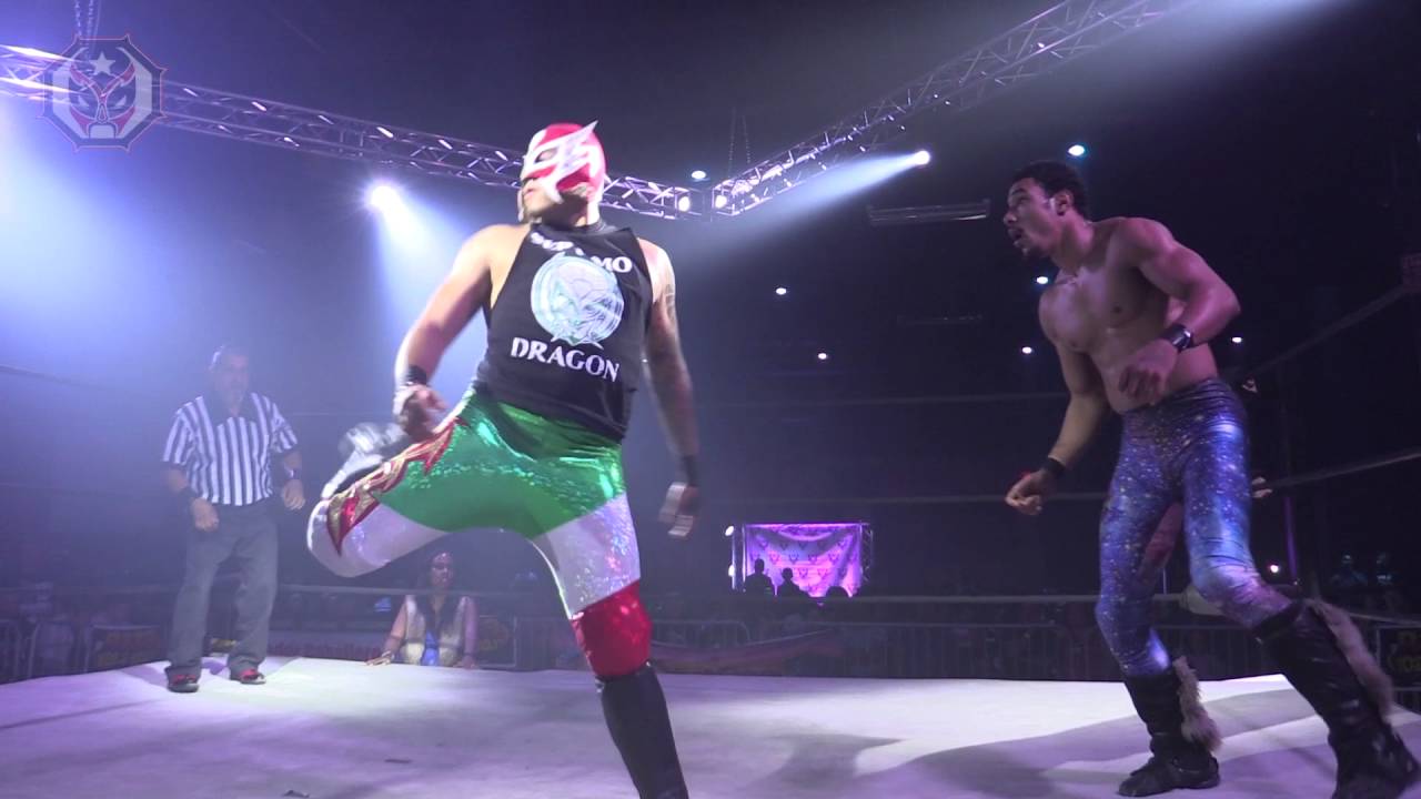 ArFox Vs Septimo Dragon