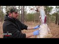 How to skin a Coyote