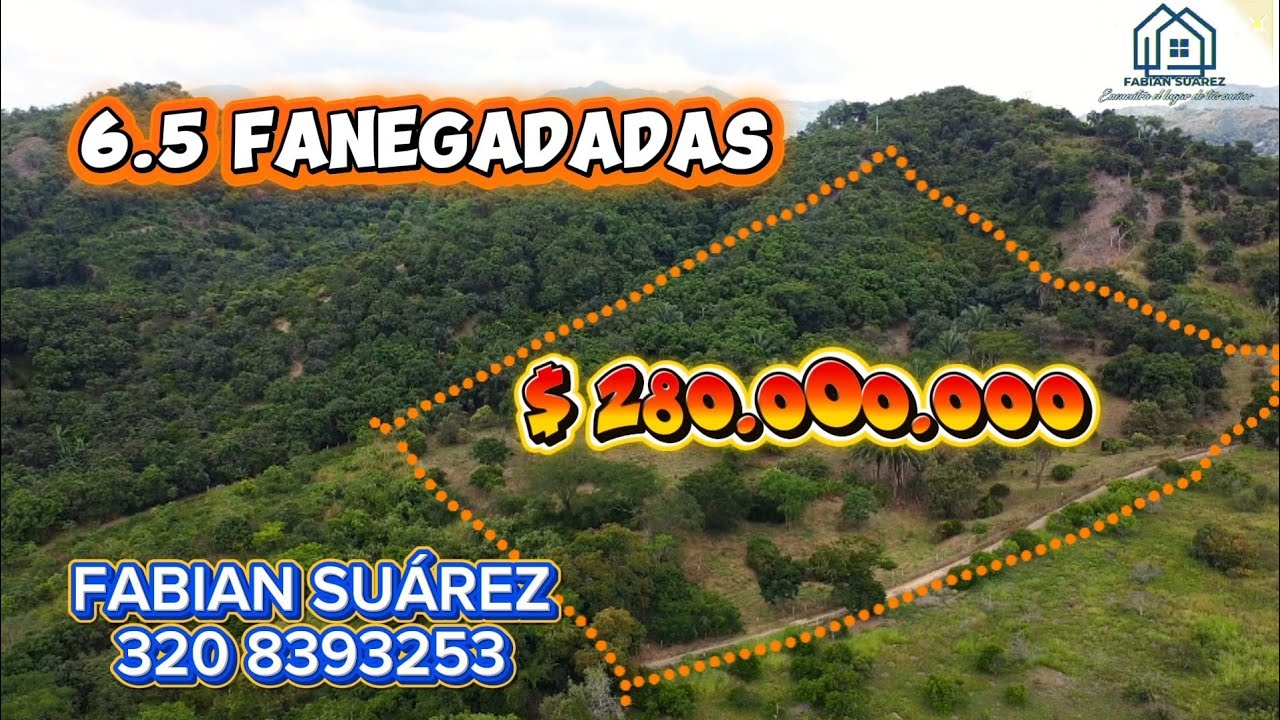 ФРУКТОВЫЙ РАЙ ФЕРМА В ВИОТЕ, КУНДИНАМАРКА