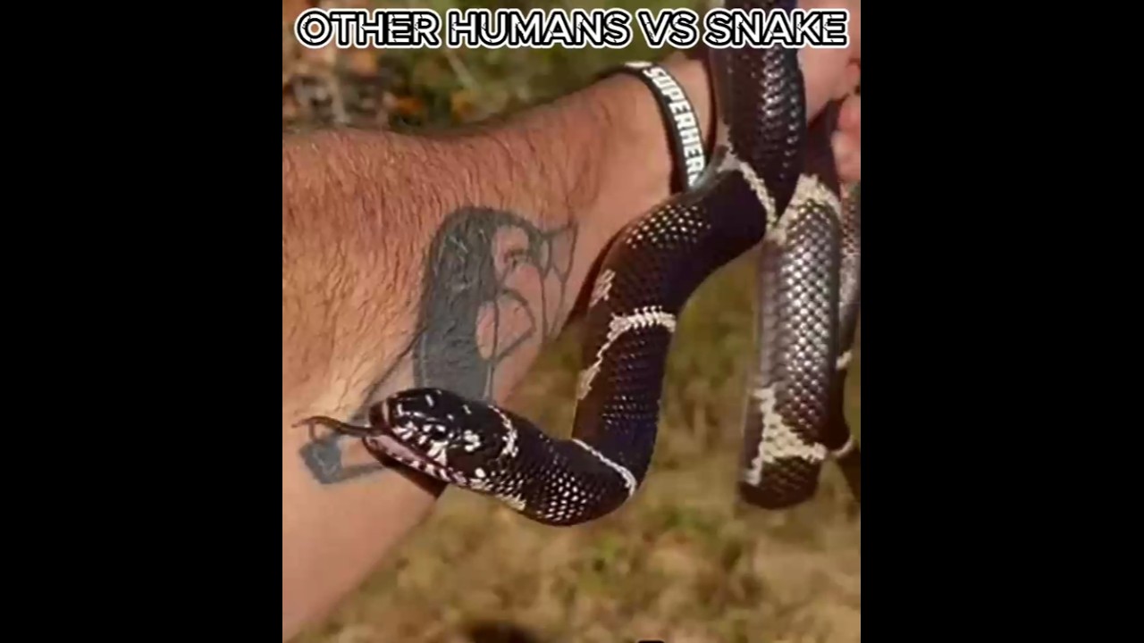 👿☠️ Other Humans Vs Snake Vs This Men 