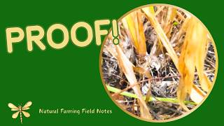 COLLECT IMO FROM GRASS