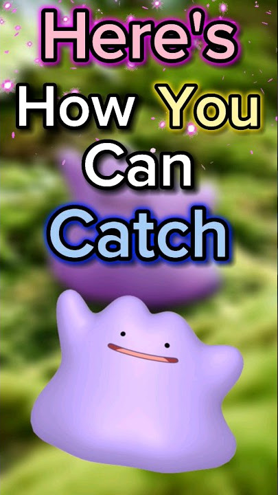 How to catch Ditto in Pokémon GO – Destructoid