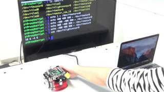 Control raspberry Pi mouse from a terminal and a shell script