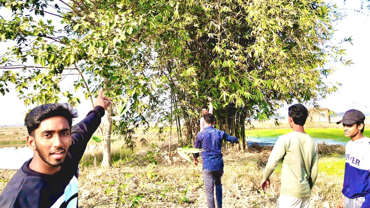 Ajj Ham Bana Rahe Hai Cricket Ground 🥳 Asadul shaikh 