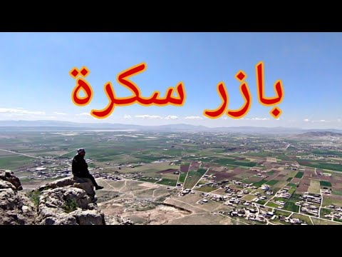 كل هذا في بلديتي بازر سكرة