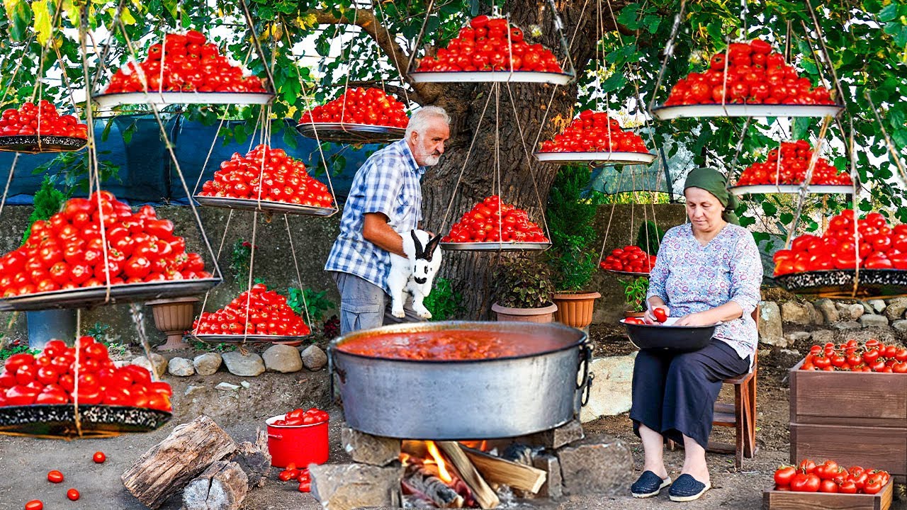 Вкусный секрет бабушки: сбор помидоров и домашний соус на зиму