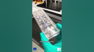 EIFFEL DC1 introduction video