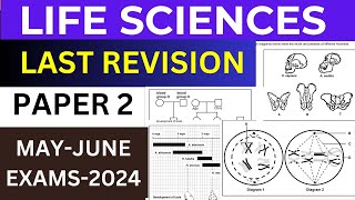 MAY -JUNE -LIFE SCIENCES P.2 FINAL REVISION 2024 GRADE 12 LIFE SCIENCES: THUNDEREDUC BY M SAIDI