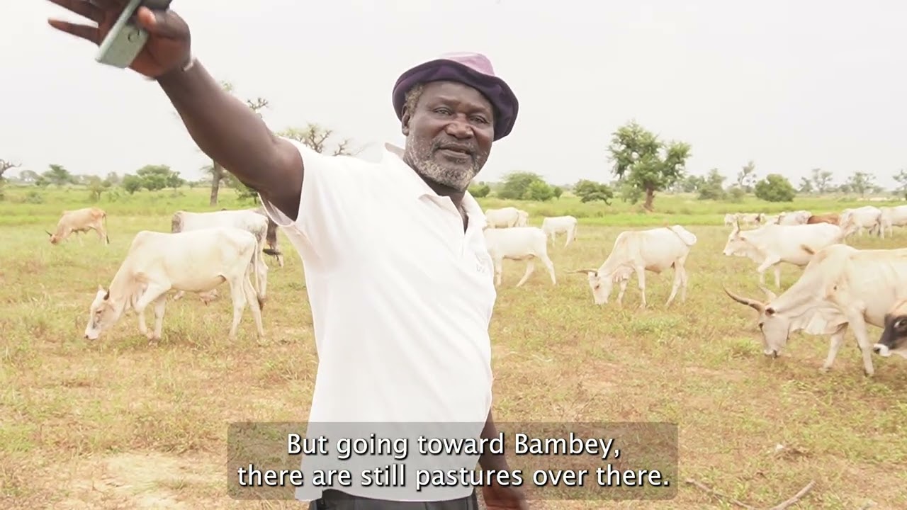 Diohine, a Peaceful Fallow — Episode 1: Abundance