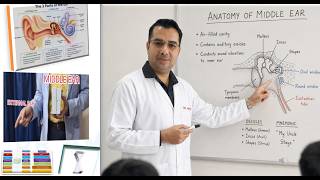 ANATOMY OF The middle ear,TEGMEN TYMPANI,OVAL WINDOW,ROUND WINDOW,PROMONTORY,EustachianTube,OTITIS