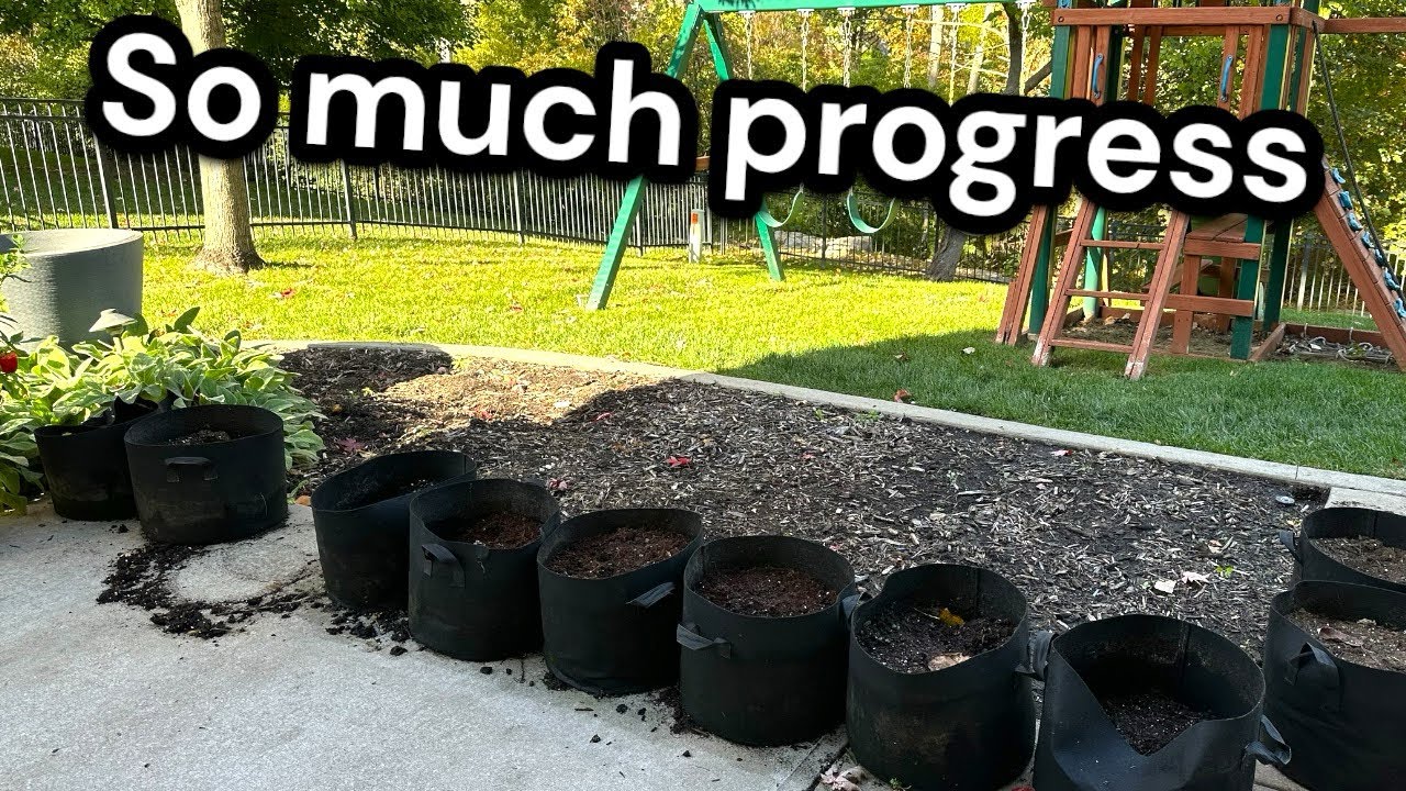 So much progress - YouTube