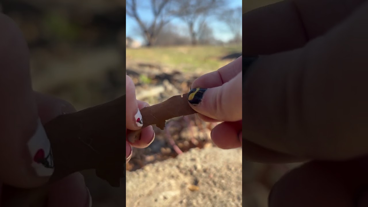 ASMR Nature Trail Visual and Audio Triggers