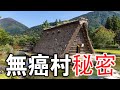 營養師說：告訴你一個“無癌村”的秘密，99.9%還不認識它，今天看完就當寶！保肝、利尿、抗衰老、抗應激、降壓等，它是保養年青的寶物，快快收藏起来，分享给你心爱的人