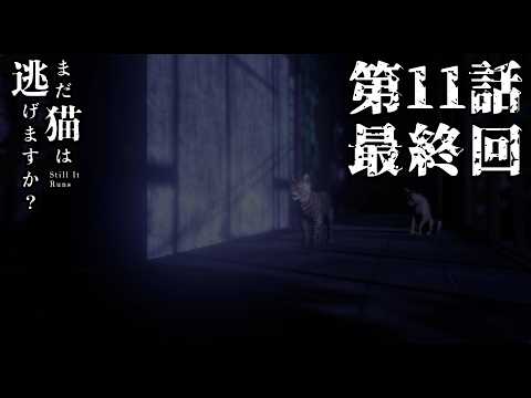 【望んだのは】まだ猫は逃げますか？ 第11話（最終回）【こんな結末】