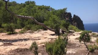 Ibiza - Sant Antoni de Portmany - Santa Agnès de Corona - Las Puertas del Cielo San Antonio Santa Agnes 25 01 Ibiza 2020