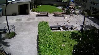 Kukui Tower Parking Garage Crash