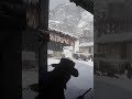 Arthur Kill Colm O Driscoll brutally in Red Dead Redemption
