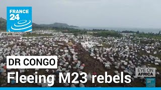 ‘We were all afraid’: Thousands more flee M23 rebels in DR Congo • FRANCE 24 English