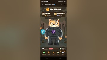 Memefi daily secret combo 8 August 2024