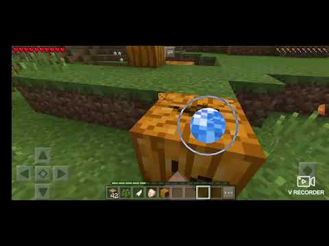 ორი სტივის თავგადასავალი #1