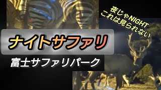 富士サファリパークのナイトサファリに行かナイト!