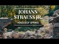 Johann strauss jr  voices of spring op 410  frhlingsstimmen