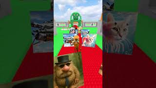 EVOLUTION CAPUCHINO BURBALONI BALERINA TUNG SAHUR ITALIAN BRAINROT SONG FIGHT 2D 3D in GARRY`S MOD