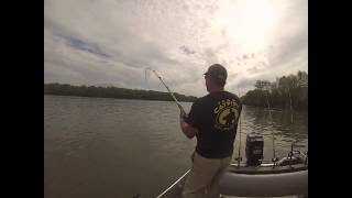Trophy Blue and Flathead Catfish Solo