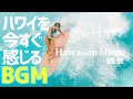 【🌊ハワイアンBGM】Tropical Chill - Hawaiian Music for a Relaxing Beach Day ハワイアンミュージックでまったりゆったり時間
