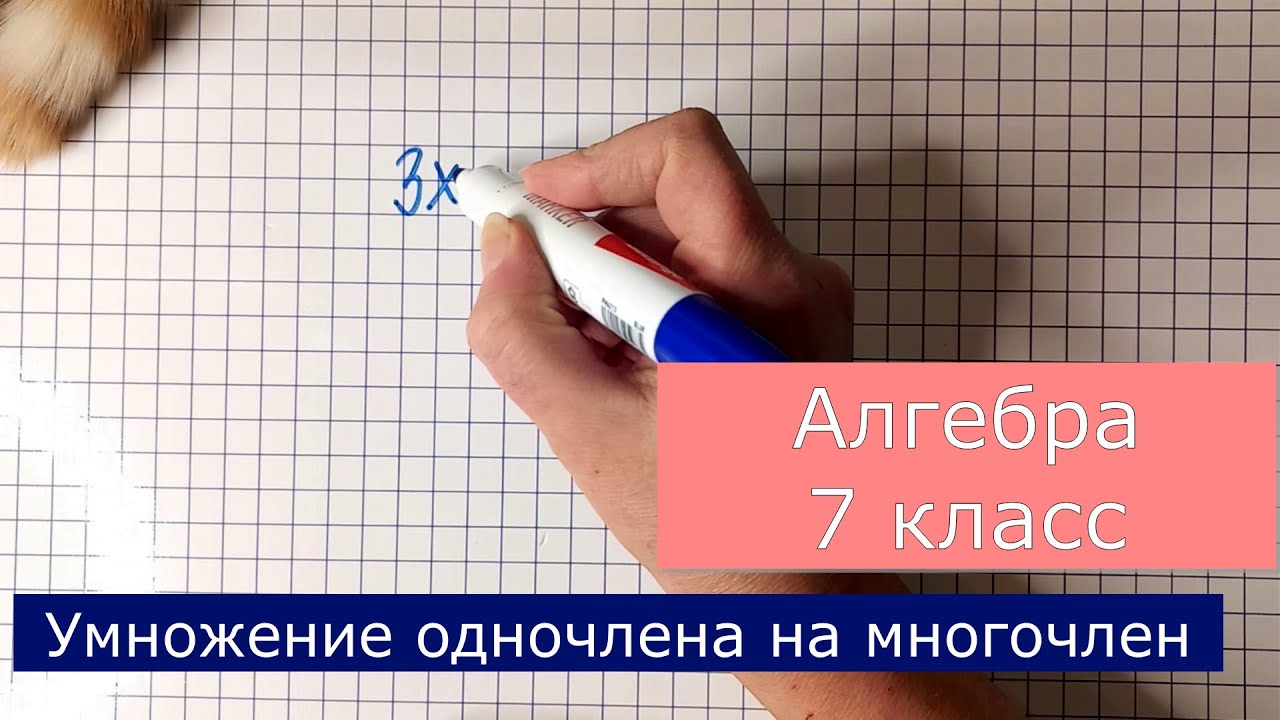 Умножение одночлена на многочлен. Алгебра 7 класс. Готовимся к ...