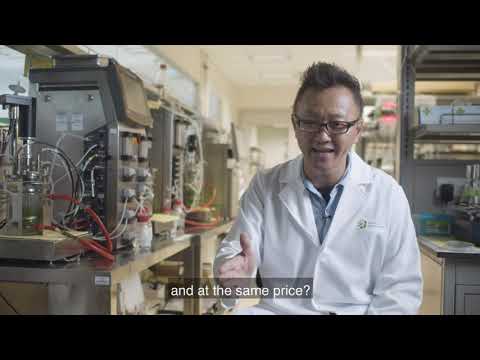 Inc. x SWITCH - Singapore: Built on Innovation - Sustainable Agri-tech