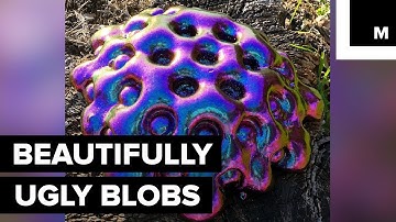These Blob Sculptures Are Disgustingly Beautiful