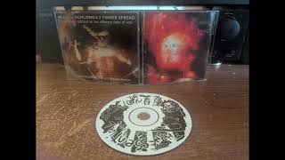 Schlong - The Unessential Schlong (1995 Spokane,WA) [TMR71]