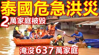 Download Lagu Severe floods have swept through southern Thailand! Over 460,000 people affected! MP3