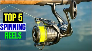 Download Lagu Beste spinrollen in [2025] Top 5 MP3