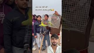 birds Don need a goldan Cage they need the open sky# birds#parrot#freedom#cage